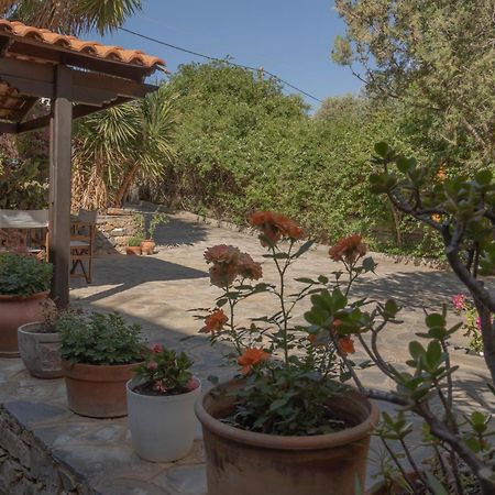 Private Pet Friendly Villa Agios Nikolaos Exteriör bild